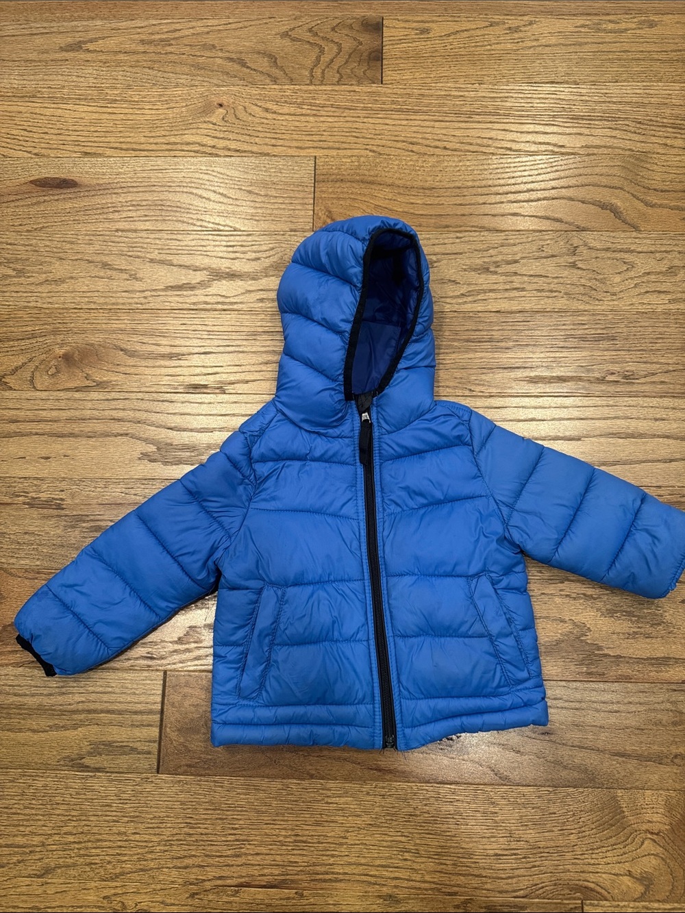 Urban Republic Royal Blue Quilted Jacket with Hood